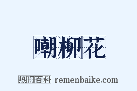 嘲柳花是什么意思的图片
